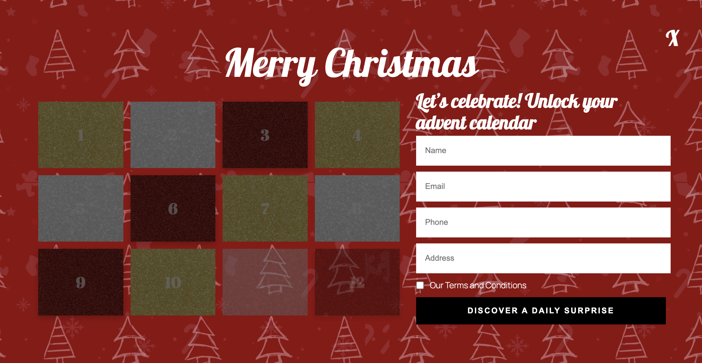 Adventi PRO lead form, extra phone, address, terms and conditions fields and customized